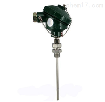 WZPK-336S铠裝熱(rè)電(diàn)阻