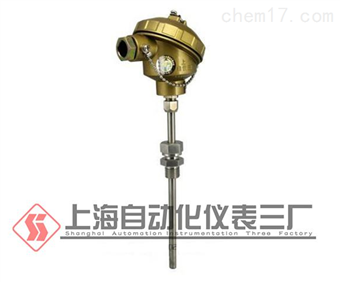 WR系列铠裝熱(rè)電(diàn)偶