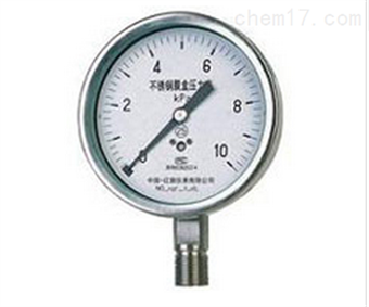 不(bù)鏽鋼膜盒壓力表YE-100B