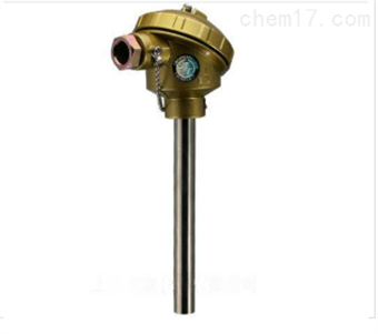 铠裝熱(rè)電(diàn)偶WRNK-130上(shàng)海(hǎi)儀表三廠(chǎng)