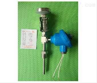 一(yī)體(tǐ)化(huà)雙金(jīn)屬溫度計(jì)WTYS-1012（WSS）