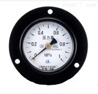 普通(tōng)壓力表 Y-40ZT