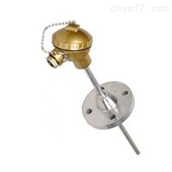 WRC-331裝配式熱(rè)電(diàn)偶