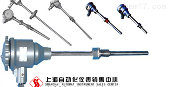 WZPK-248隔爆熱(rè)電(diàn)阻