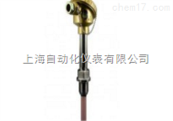 WRR2-220鉑铑熱(rè)電(diàn)偶