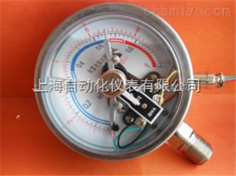 耐震電(diàn)接點壓力表