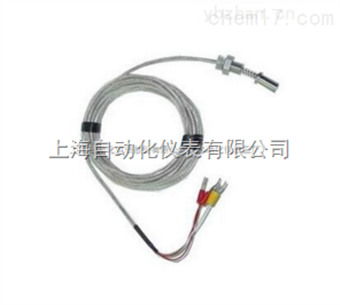 WZPM上(shàng)儀三廠(chǎng)端面熱(rè)電(diàn)阻