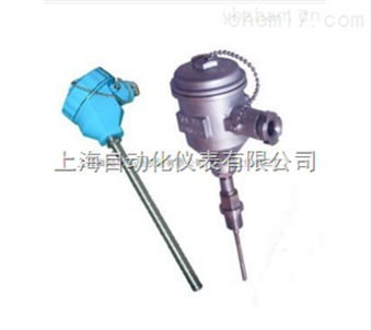 WZP2-240G防爆螺紋熱(rè)電(diàn)阻