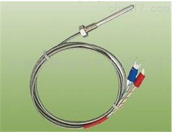 探頭式熱(rè)電(diàn)偶