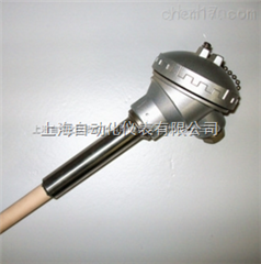 WRP2-121 WRN-122鉑铑熱(rè)電(diàn)偶