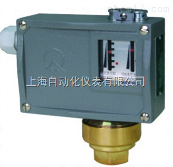 D500/7D壓力控制(zhì)器(qì)