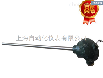 上(shàng)海(hǎi)儀表三廠(chǎng)WZP-130F防腐熱(rè)電(diàn)阻