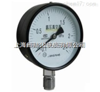 YA-200氨壓力表