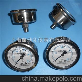 YTN-40HZ充油耐震壓力表上(shàng)海(hǎi)自(zì)動化(huà)儀表四廠(chǎng)