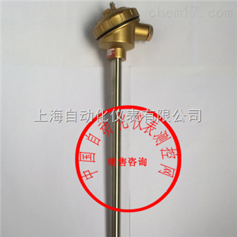 WRR-120裝配式熱(rè)電(diàn)偶上(shàng)自(zì)儀三廠(chǎng)