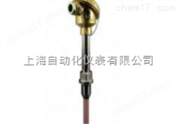 上(shàng)海(hǎi)WRP-121鉑铑熱(rè)電(diàn)偶