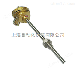 WRN-220裝配式熱(rè)電(diàn)偶上(shàng)自(zì)儀三廠(chǎng)
