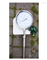 WSSP-311帶熱(rè)電(diàn)阻雙金(jīn)屬溫度計(jì)