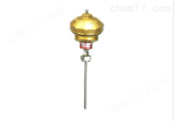 WRN2-130裝配式熱(rè)電(diàn)偶