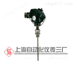 WZPK2-336雙支熱(rè)電(diàn)阻 活動卡套連接