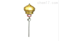 WRN2-130無固定裝置式熱(rè)電(diàn)偶