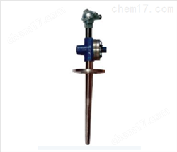 電(diàn)廠(chǎng)耐磨熱(rè)電(diàn)偶WRN