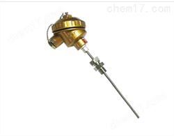 WRNK铠裝熱(rè)電(diàn)偶