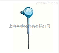 WRN-74 直形管接頭式防爆熱(rè)電(diàn)偶