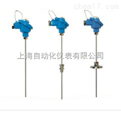 雙偶頭k分(fēn)度号铠裝熱(rè)電(diàn)偶WRNK2-131