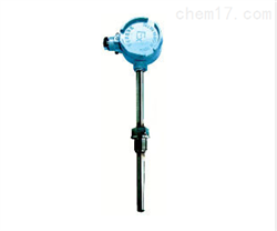 WRN防爆熱(rè)電(diàn)偶